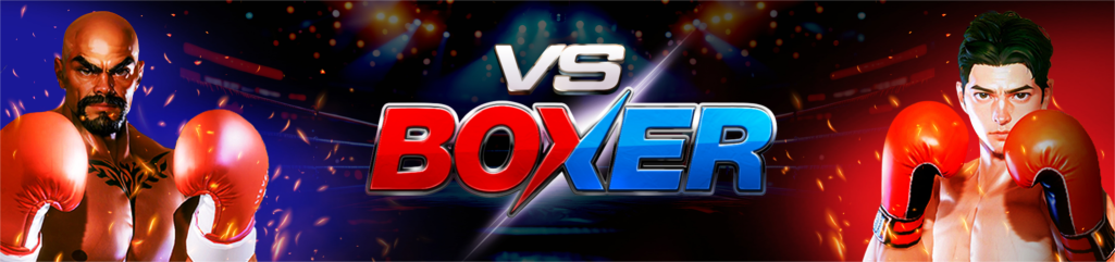 VS_BOXER