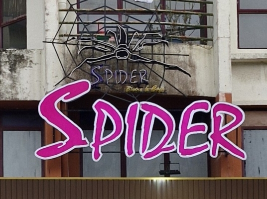 SPIDER DART HOUSE (PERMAS)