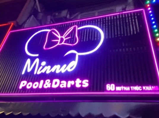 MINNIE POOL & DARTS